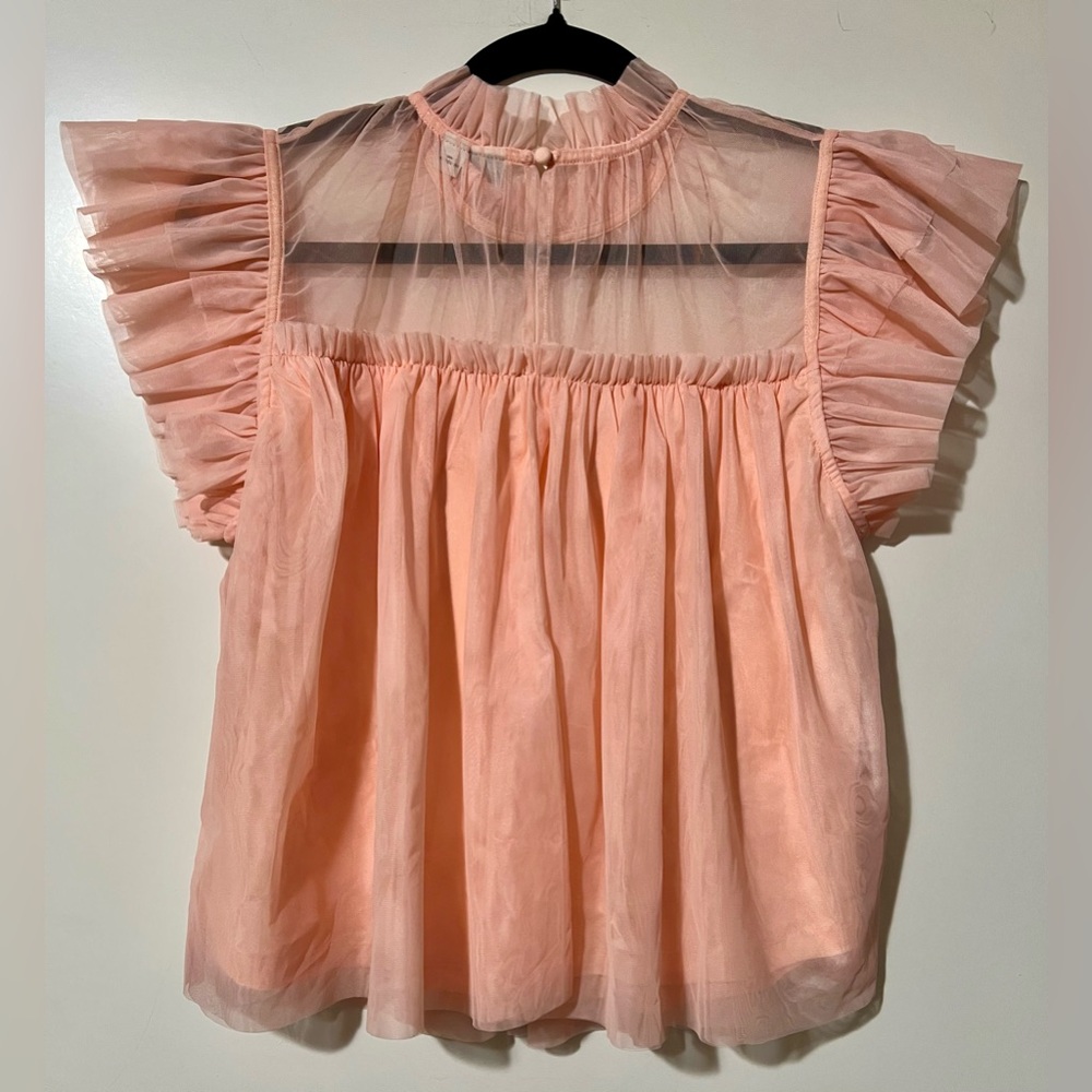 Joie Peach Sheer Ruffle Blouse - Picture 5 of 5